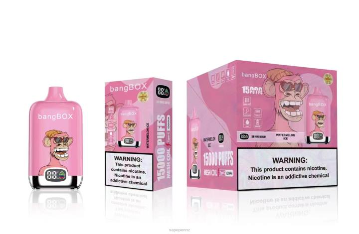 Vape New Zealand 4PBF45 Watermelon Ice - Bang Box 15000 Puffs