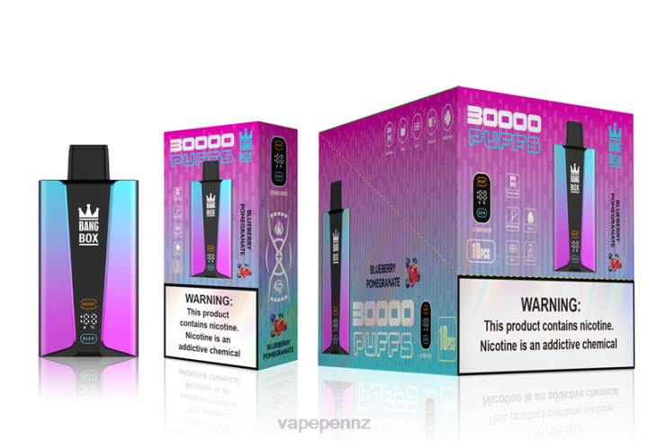 Vape New Zealand 4PBF80 Blueberry Pomgerante - Bang Box 30000 Puffs Smart Screen