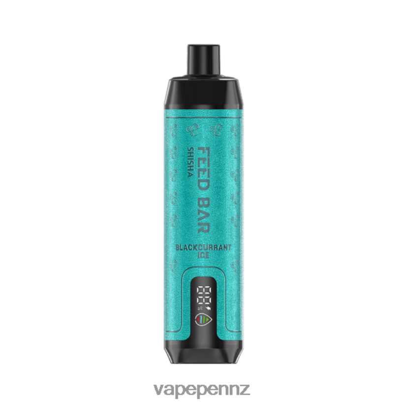 Vapsolo SHISHA Disposable Vape Blackcurrant Ice 26JB6N114 Vape Kits NZ