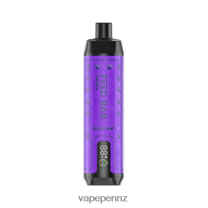 Vapsolo SHISHA Disposable Vape Grape Mint 26JB6N118 Vape Pen NZ