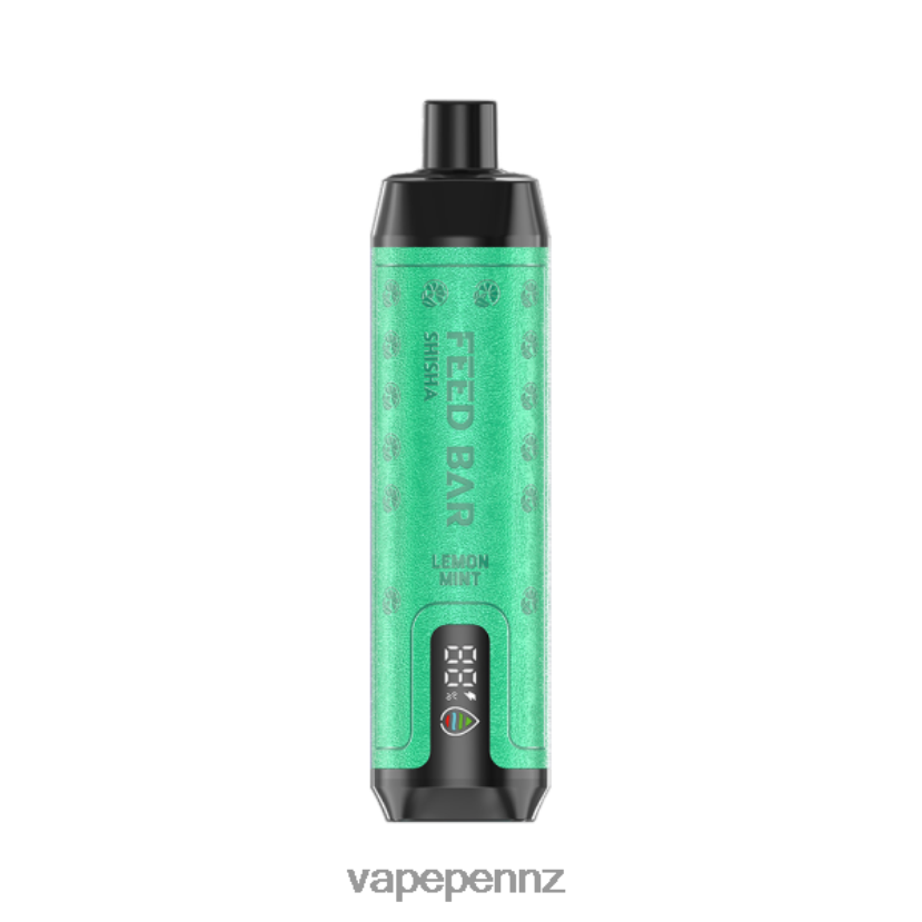 Vapsolo SHISHA Disposable Vape Lemon Mint 26JB6N119 Vape Kits NZ