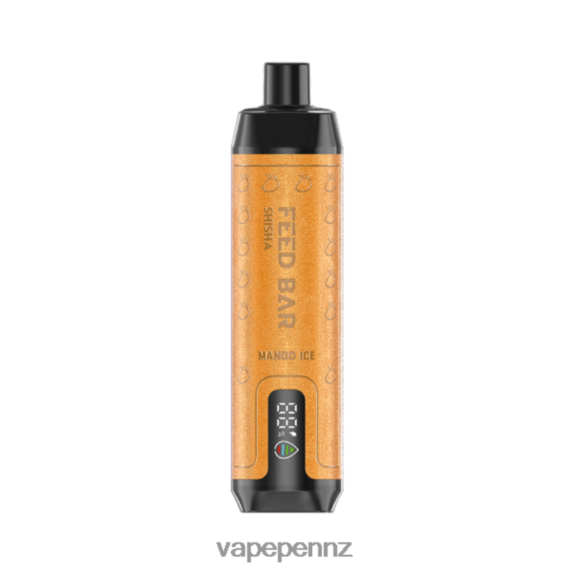 Vapsolo SHISHA Disposable Vape Mango Ice 26JB6N121 Vape NZ