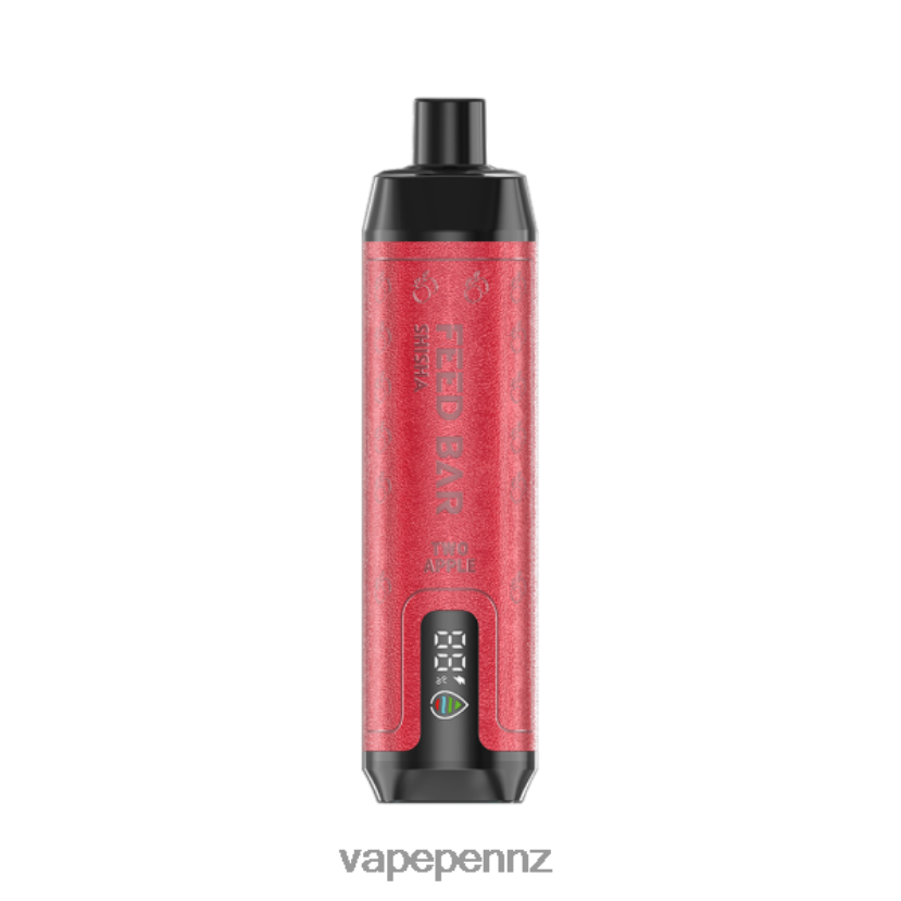 Vapsolo SHISHA Disposable Vape Two Apple 26JB6N124 Vape Kits NZ