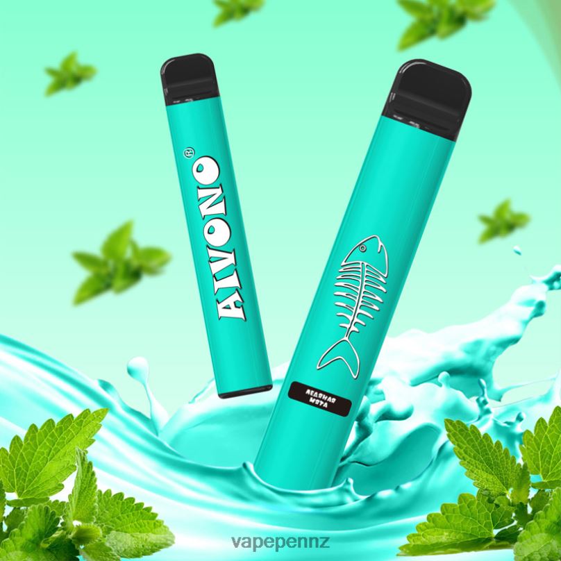 Aivono AIM FISHBONE 600 Cool Mint - 2B88Z278 Vape New Zealand