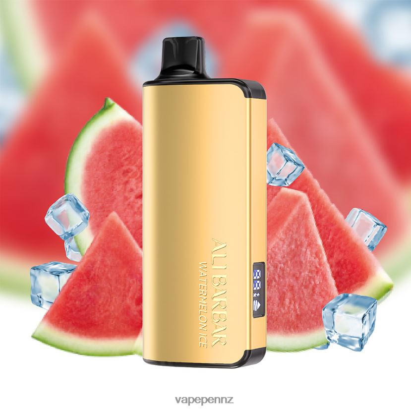 Alibarbar Ingot 9000 Disposable Vape Watermelon Ice 26JB6N26 Vape NZ