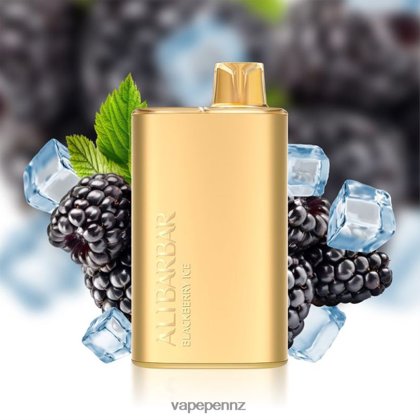 Alibarbar Rich 8000 Disposable Vape Blackberry Ice 26JB6N10 Vape New Zealand