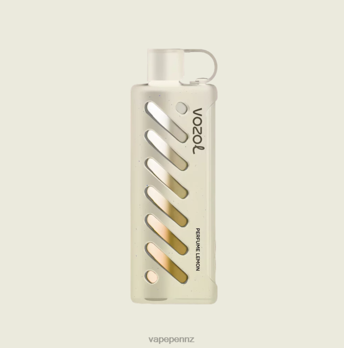 VOZOL Gear Shisha 25000 PVLB01 Vape New Zealand