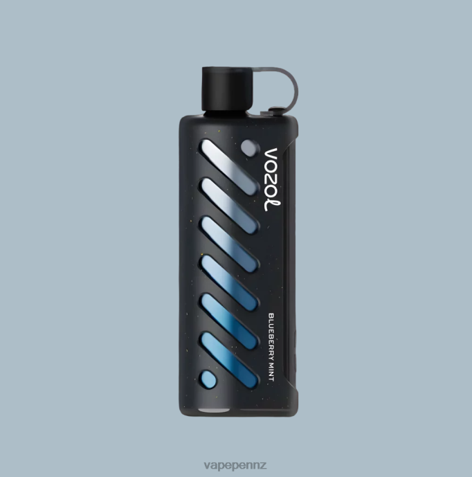 VOZOL Gear Shisha 25000 PVLB01 Vape New Zealand