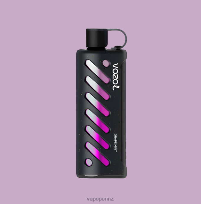 VOZOL Gear Shisha 25000 PVLB01 Vape New Zealand