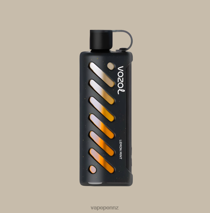 VOZOL Gear Shisha 25000 PVLB01 Vape New Zealand