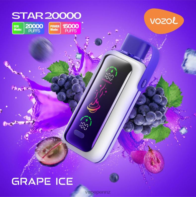 Vape Kits NZ 246V89 GRAPE ICE VOZOL STAR 20000