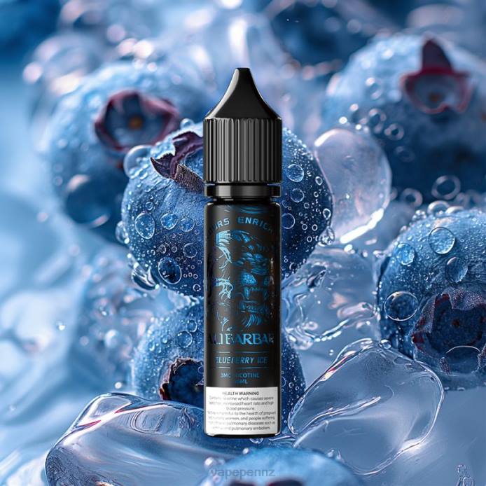 Vape NZ 2FPD104 Blueberry lce - Alibarbar Hookah Onyx Dock