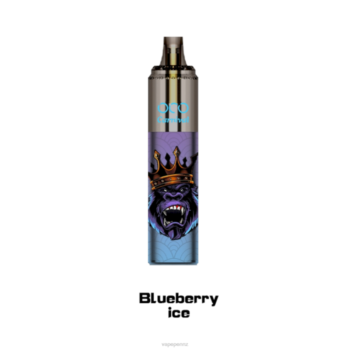 Vape NZ BR84349 Blueberry Ice - LAVIE OCO Carnival 10000 Puffs