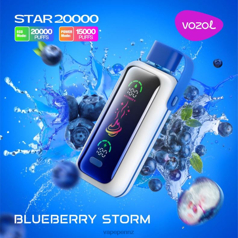 Vape New Zealand 246V85 BLUEBERRY STORM VOZOL STAR 20000