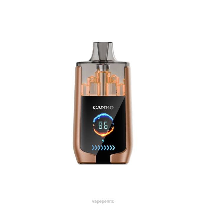 Vape New Zealand BR8418 Coffee Ice - LAVIE CAMEO 30000 Puffs