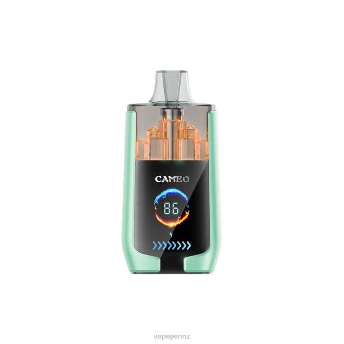 Vape New Zealand BR8420 Double Apple - LAVIE CAMEO 30000 Puffs
