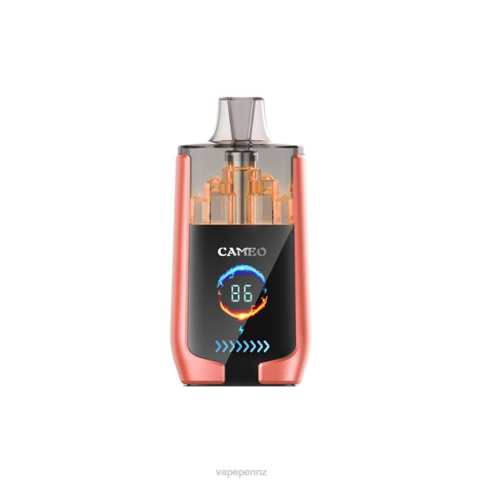 Vape New Zealand BR8424 Strawberry Watermelon - LAVIE CAMEO 30000 Puffs