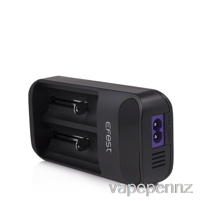 Efest LUSH Q2 2-Bay Intelligent LED Battery Charger VAPE NZ